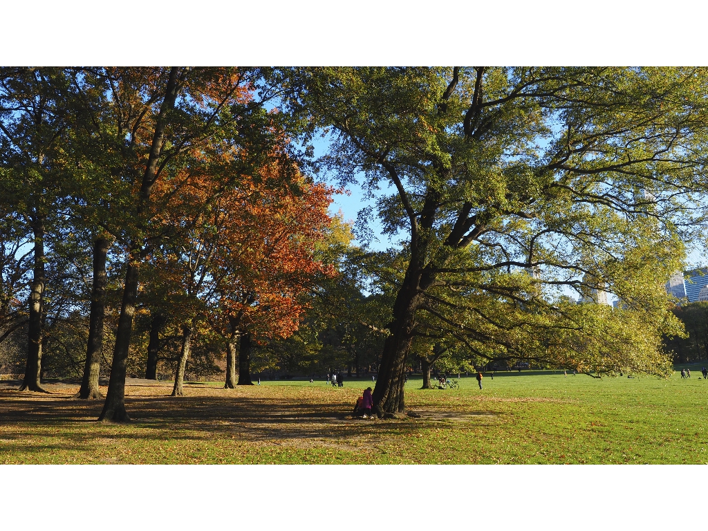 2019 USA NYC PN160035 (1) - 2019-11-17 2019 USA NYC PN160035 (1) - 2019-11-17